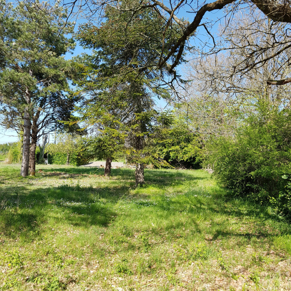 Offres de vente Terrain Gragnague 31380
