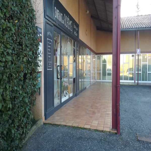 Location Immobilier Professionnel Local commercial Montastruc-la-Conseillère 31380