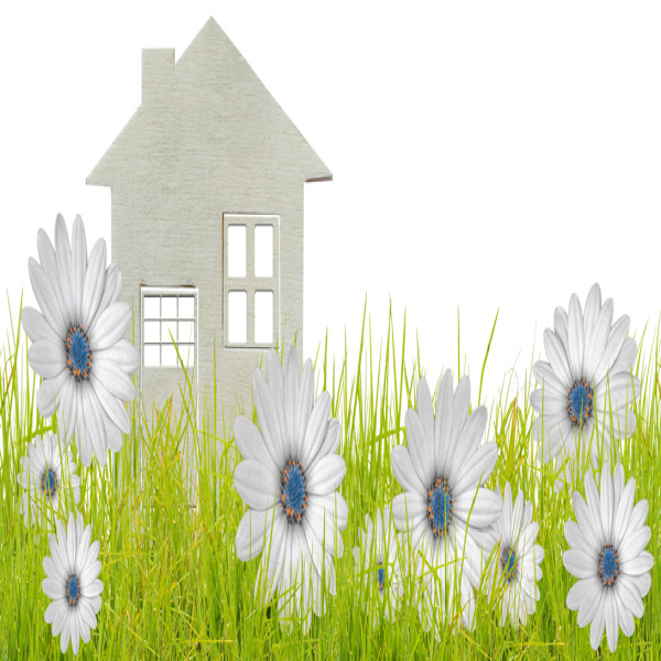 Offres de vente Terrain Montrabé 31850