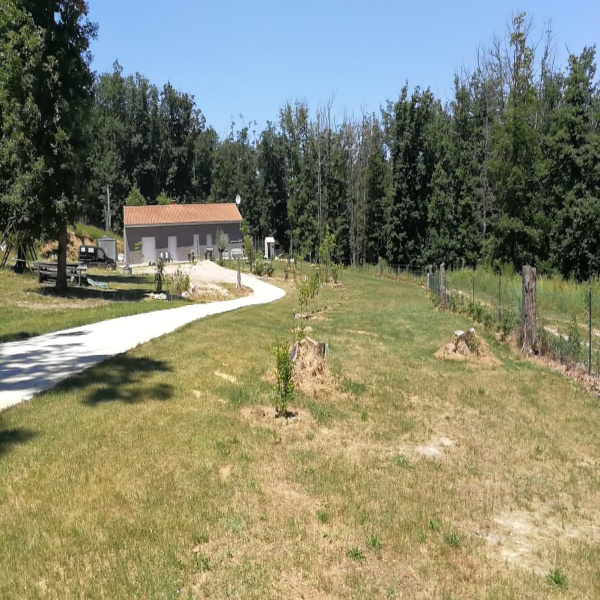 Offres de vente Villa Castelmaurou 31180